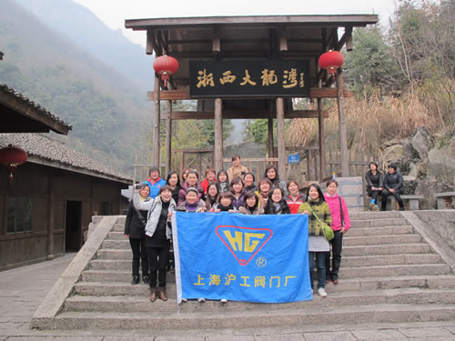 上海滬工閥門廠女員工在浙西大龍灣(合影)