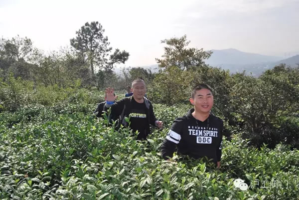 上海滬工閥門廠2016年秋季徒步毅行活動 圖10