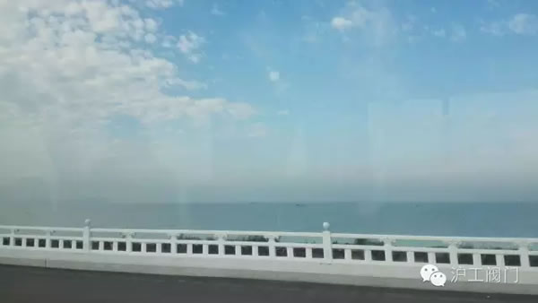 上海滬工閥門廠2016年秋季徒步毅行活動 圖28