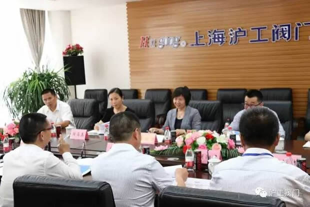 嘉定區(qū)副區(qū)長陸祖芳等領(lǐng)導一行蒞臨我公司視察指導工作(圖2)