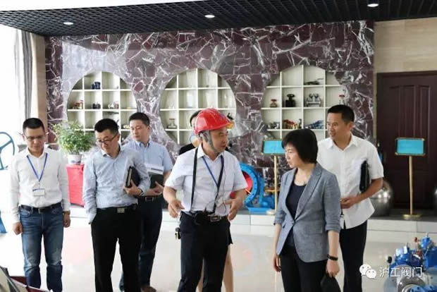 嘉定區(qū)副區(qū)長陸祖芳等領(lǐng)導一行蒞臨我公司視察指導工作(圖4)