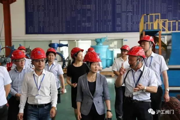 嘉定區(qū)副區(qū)長陸祖芳等領(lǐng)導一行蒞臨我公司視察指導工作(圖6)