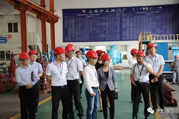 嘉定區(qū)副區(qū)長陸祖芳等領(lǐng)導一行蒞臨我公司視察指導工作(圖7)