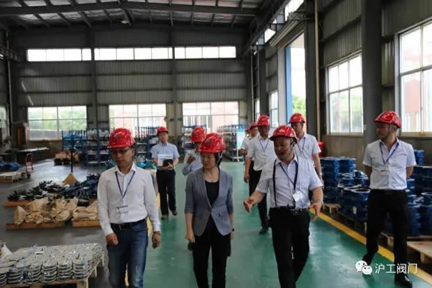 嘉定區(qū)副區(qū)長陸祖芳等領(lǐng)導一行蒞臨我公司視察指導工作(圖8)