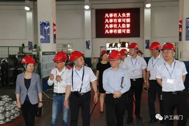 嘉定區(qū)副區(qū)長陸祖芳等領(lǐng)導一行蒞臨我公司視察指導工作(圖9)