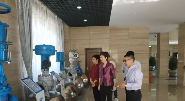 上海市嘉定區(qū)委常委、副區(qū)長(zhǎng)董依雯參觀公司展示廳